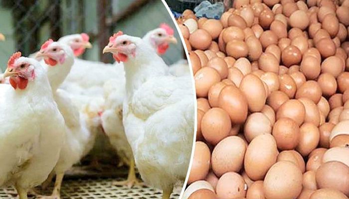 ডিম-মুরগির নতুন দাম নির্ধারণ করলো সরকার