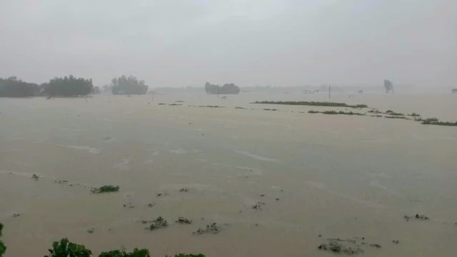 বন্যায় প্লাবিত শেরপুর ও ময়মনসিংহের ১৬৩ গ্রাম