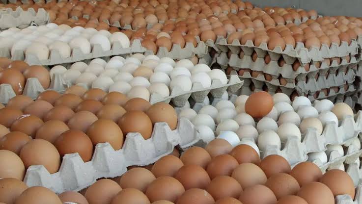 ভারত থেকে ডিম আমদানি; হালি মাত্র ৩০ টাকা